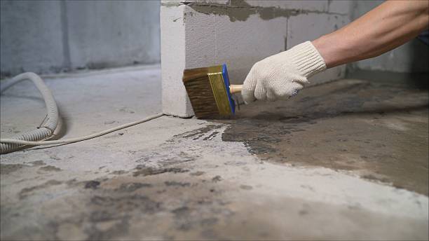 SJ Waterproofing Pros Waterproofing coverage map for Burlington, MI and surrounding area